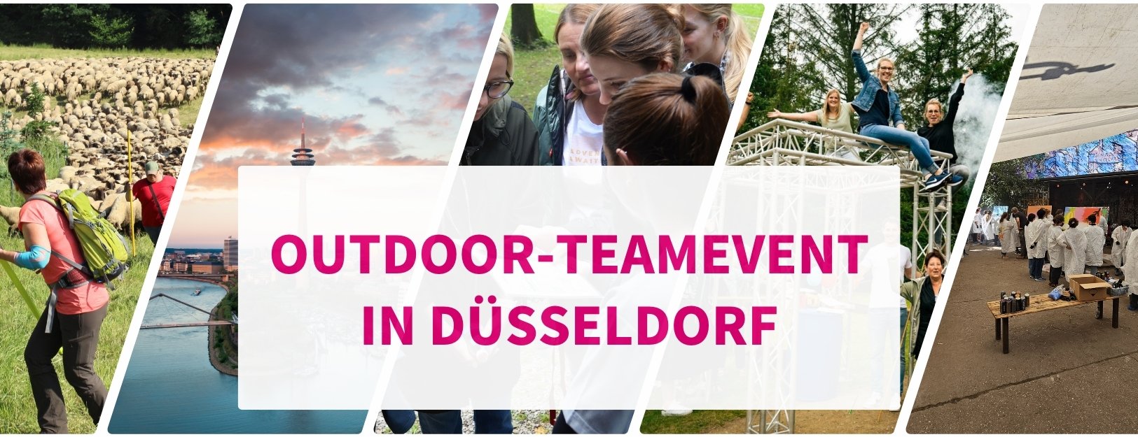 Outdoor Teamevents in Düsseldorf (nachhaltig)
