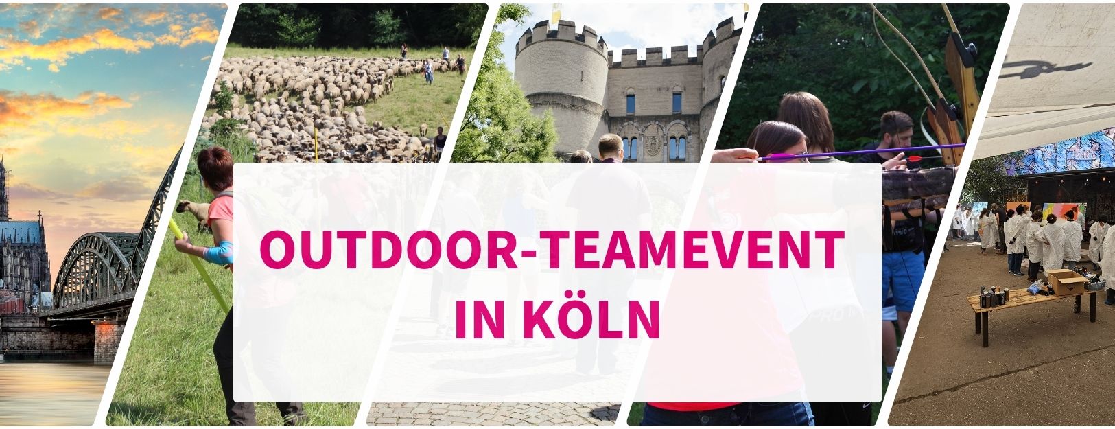 Teambuilding Köln Outdoor: Entdecke +25 Events für Teams