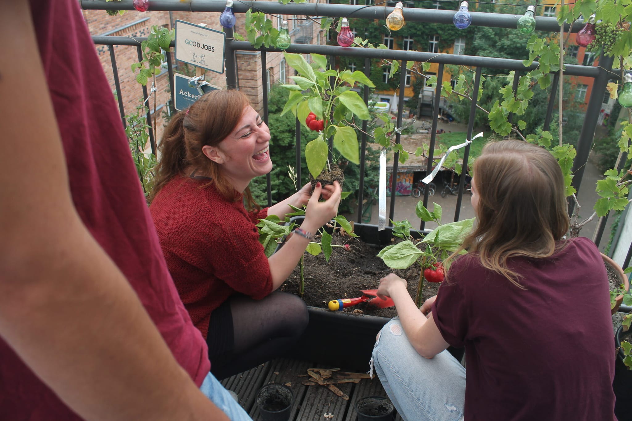 Workshop Office Gardening Teambuilding