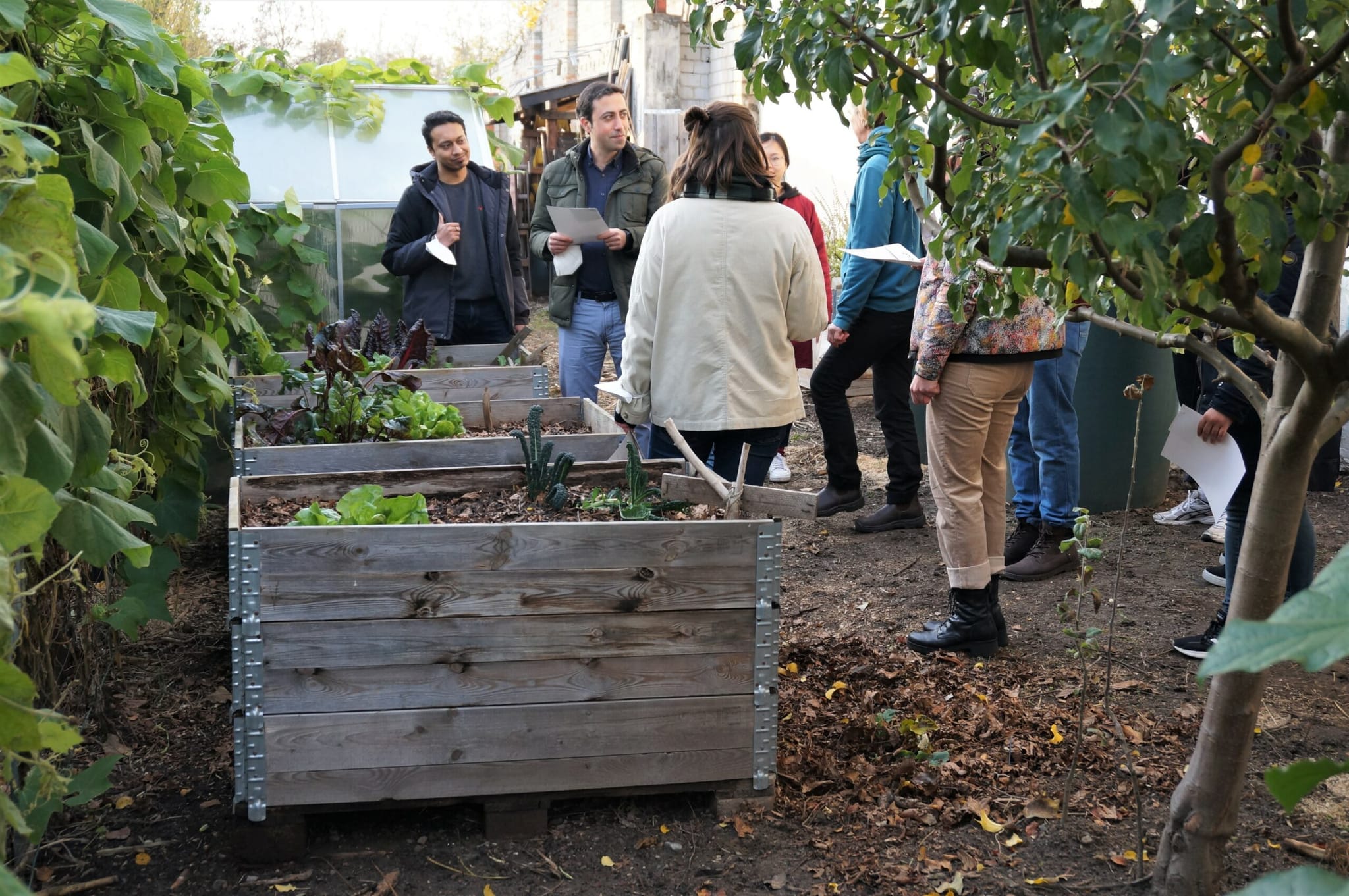 Workshop Office Gardening Teambuilding