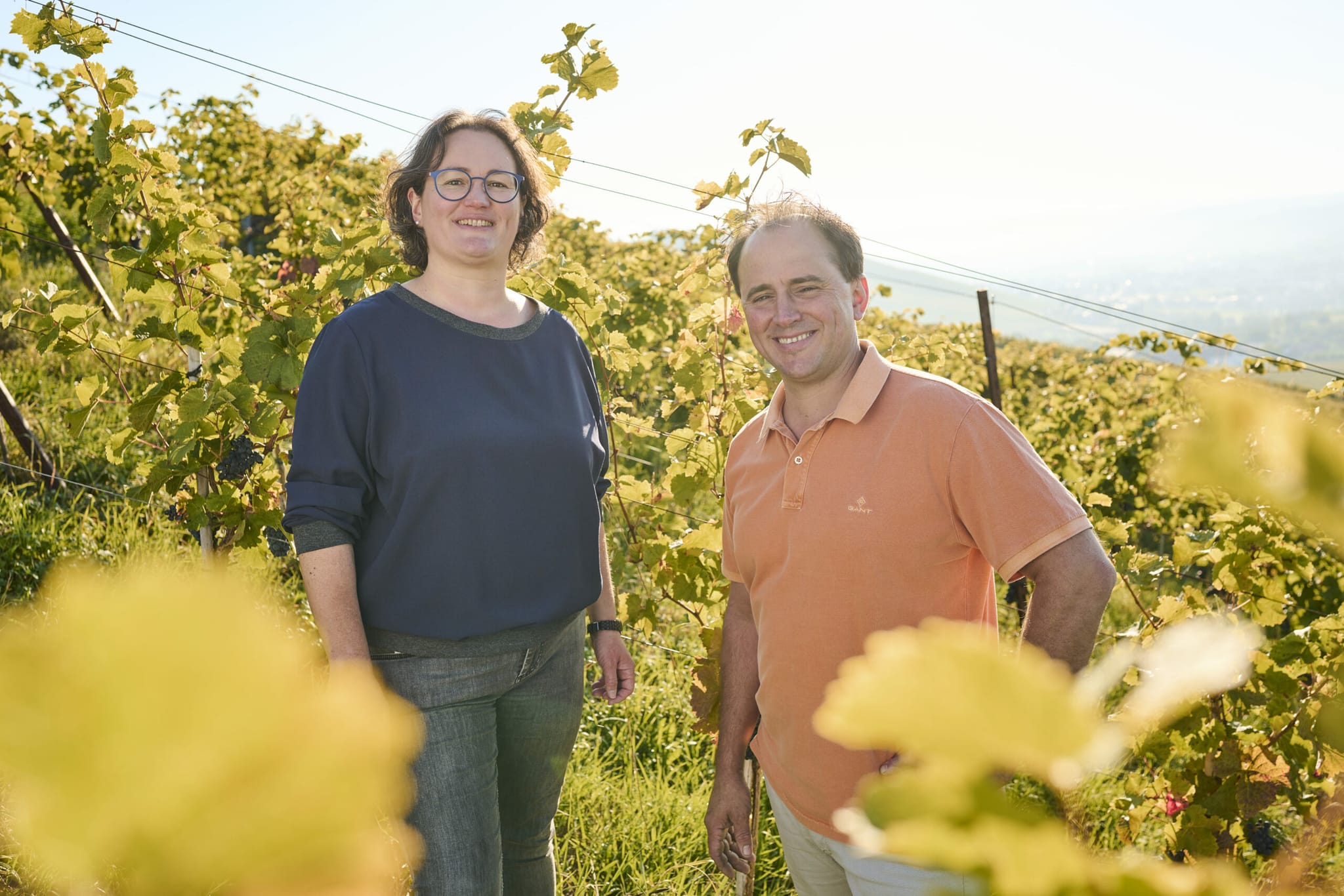 Online Weintasting Weinprobe Teambuilding