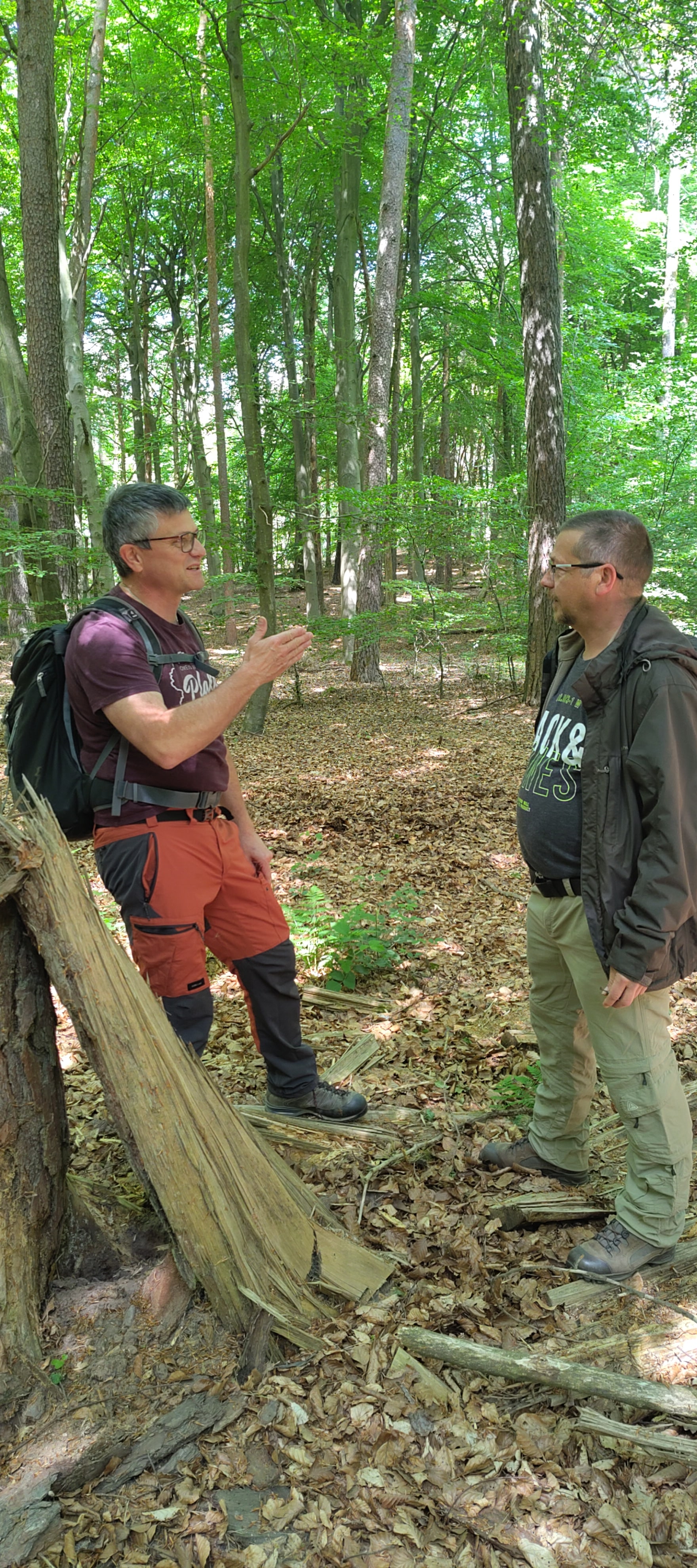 Team im Gespräch beim Waldspaziergang