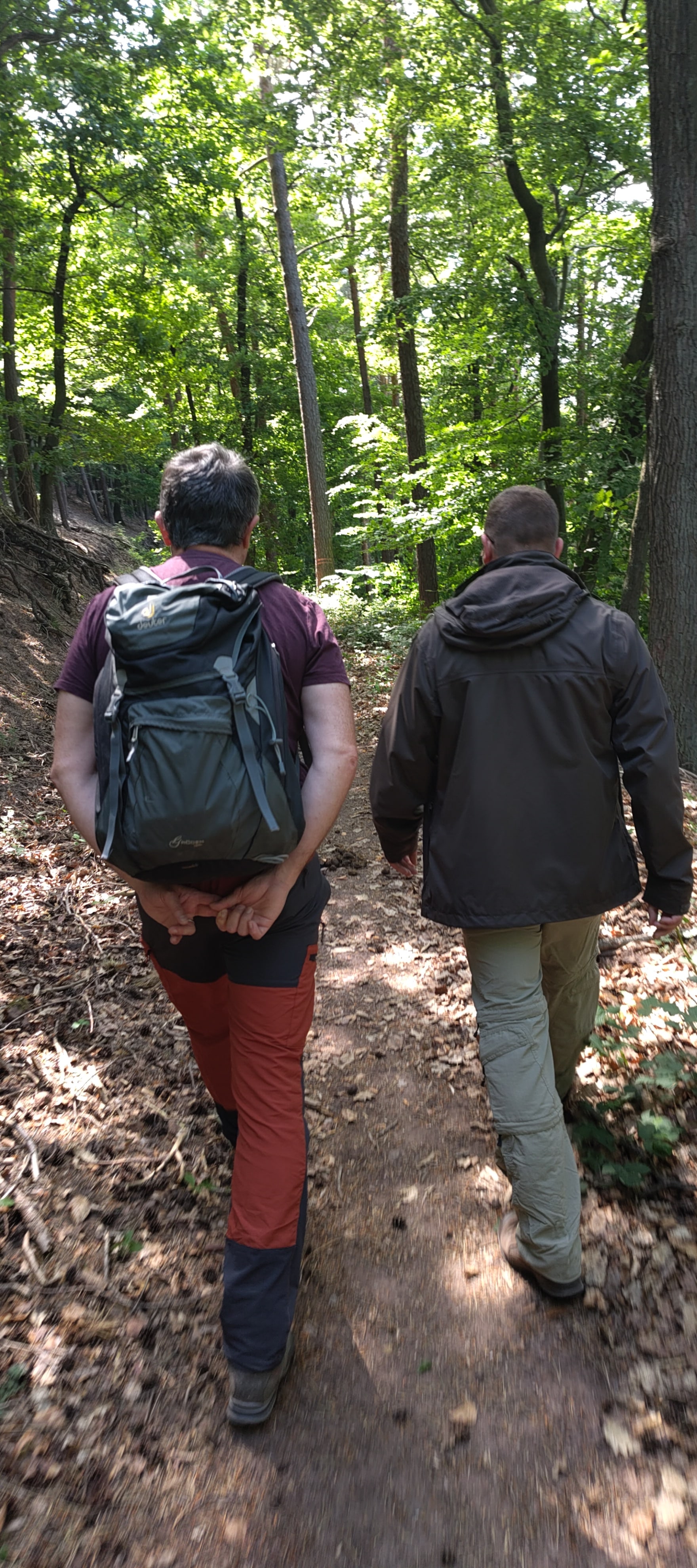 Outdoor Teamentwicklung im Wald – Team im Austausch