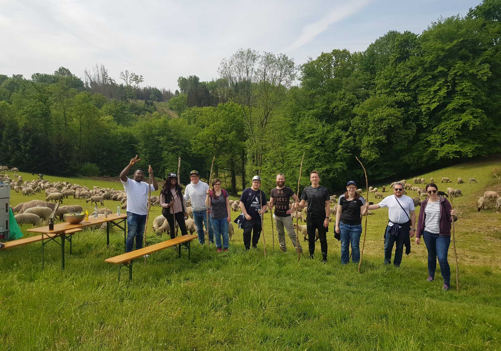 Schafe hüten Teambuilding