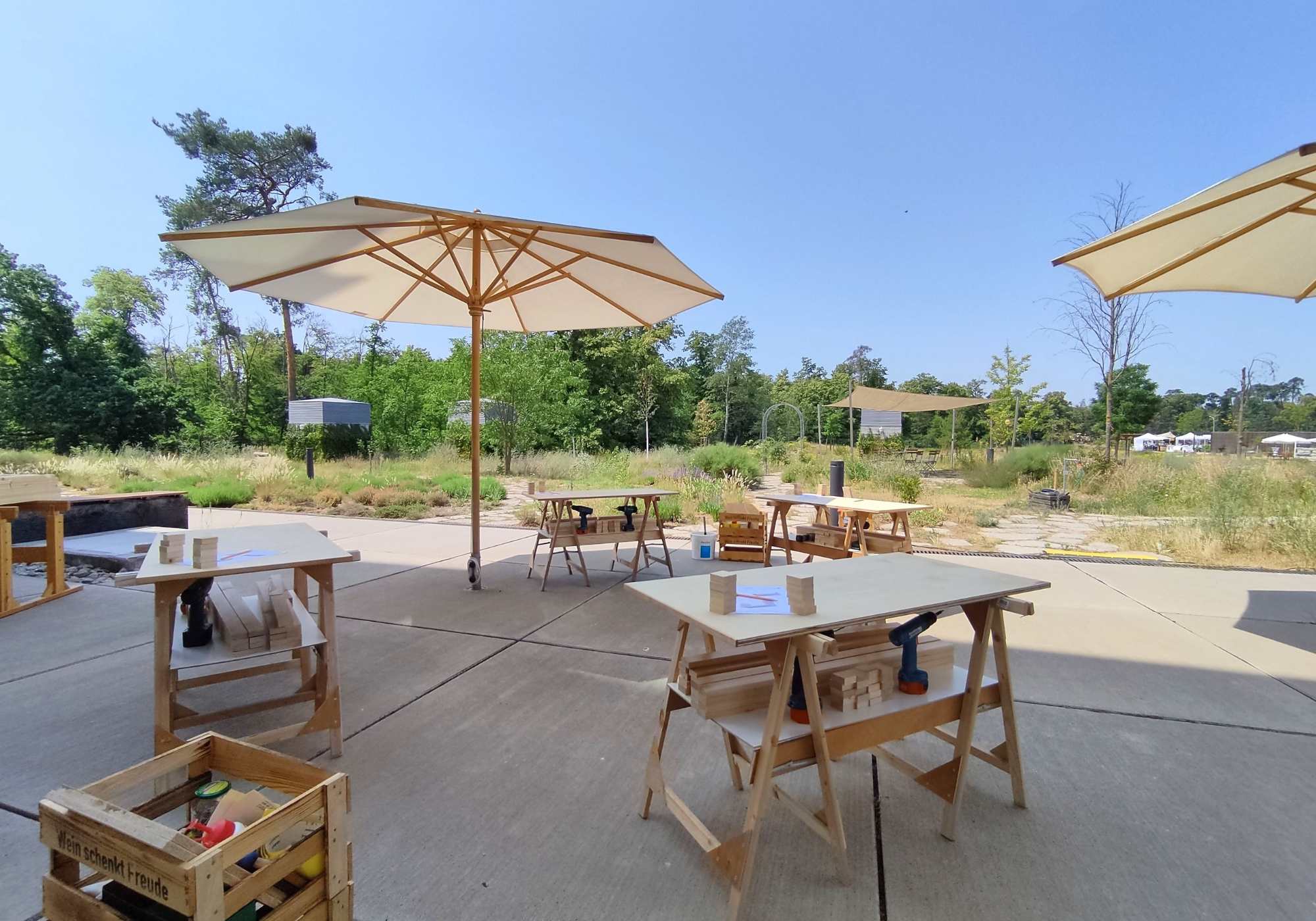 Schreiner Workshop Teambuilding bei Alnatura