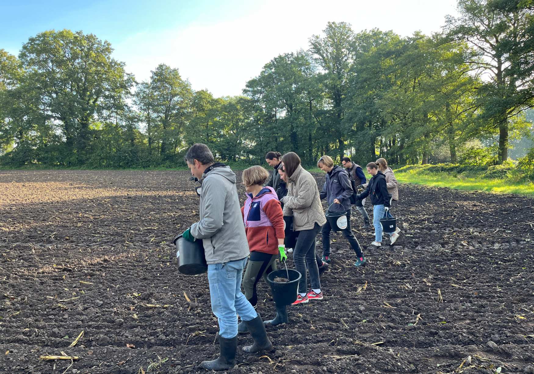 CSR Teambuilding Nachhaltigkeit Blumenwiese