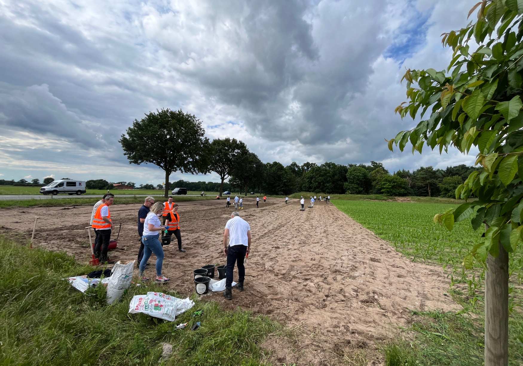CSR Nachhaltigkeit Blumenwiese