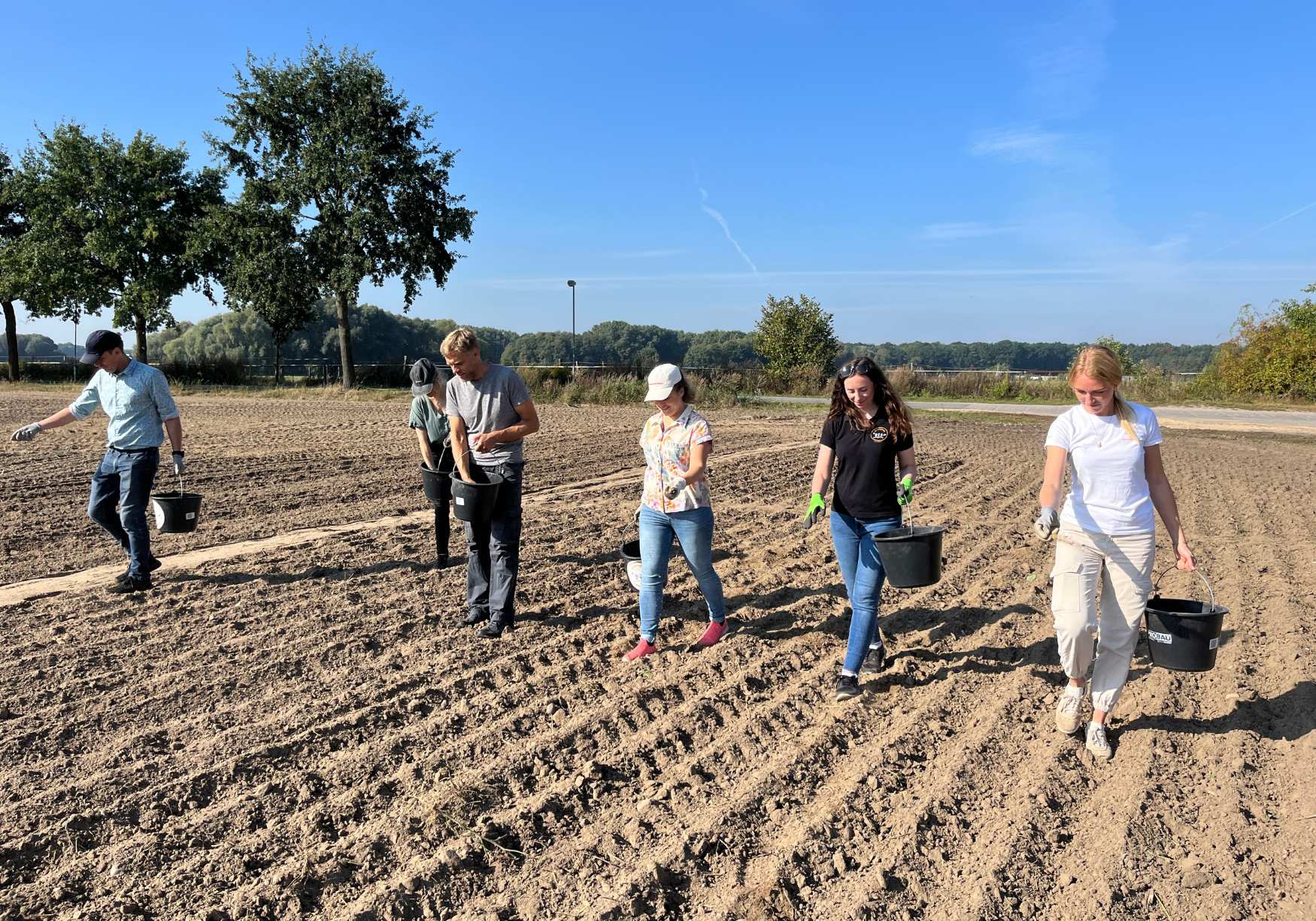 CSR Teambuilding Nachhaltigkeit Blumenwiese