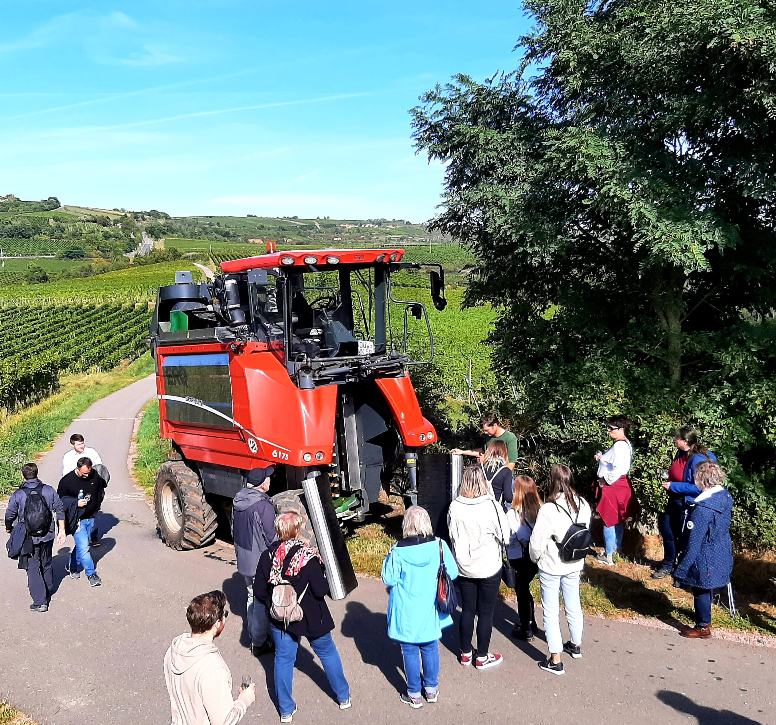 Weinwanderung als Teambuilding