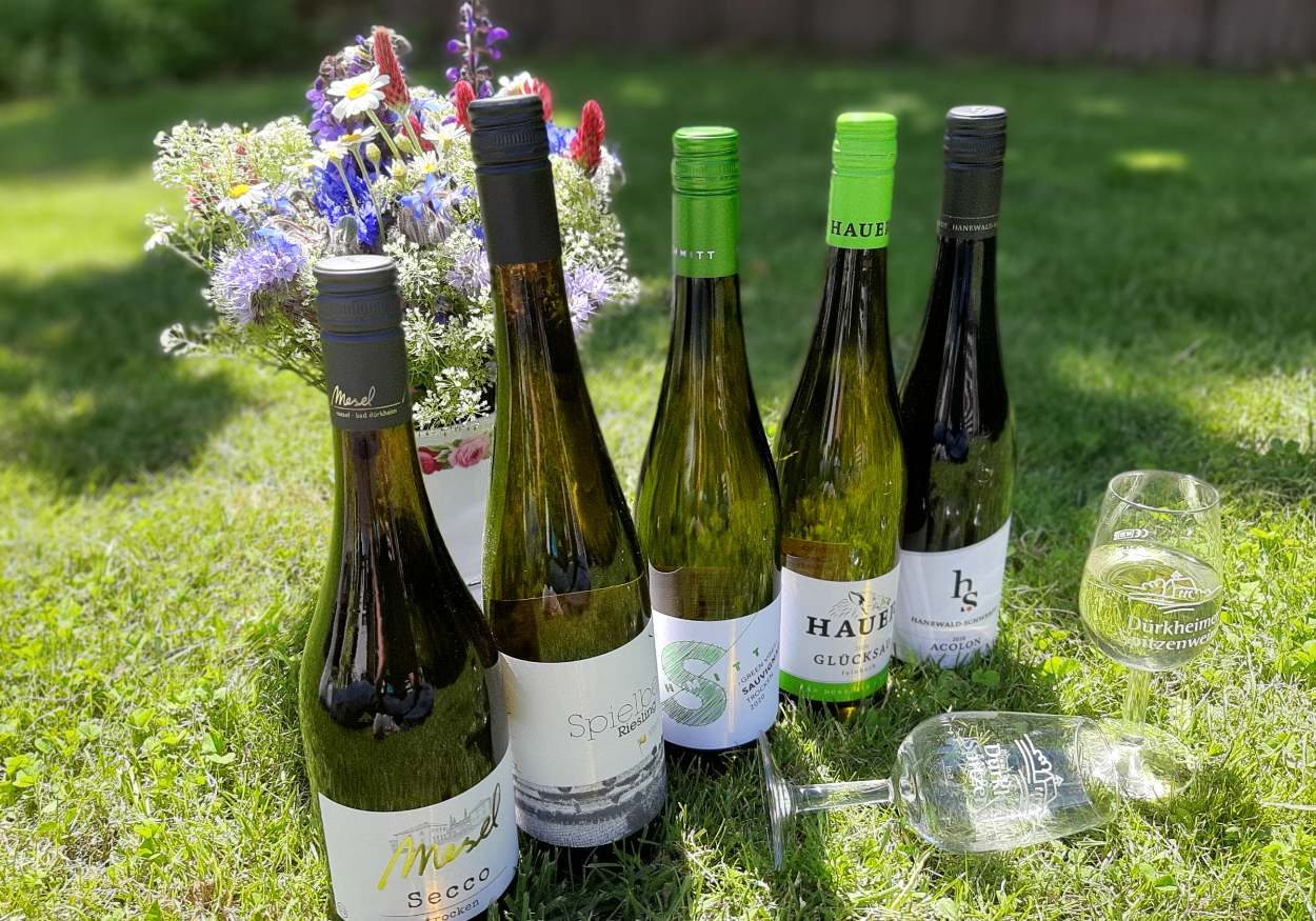 Teambuilding Events Weinwanderung Weintasting