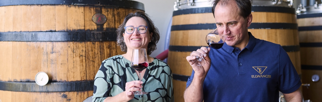 Online Teamevent Weintasting