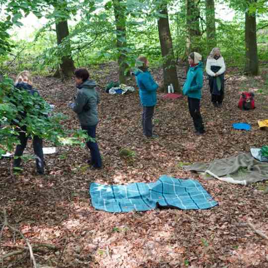 Teamtag Idee Waldbaden