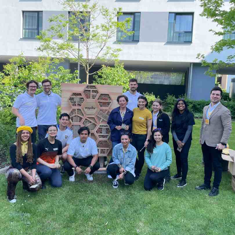 Bienenhotel Teamevent