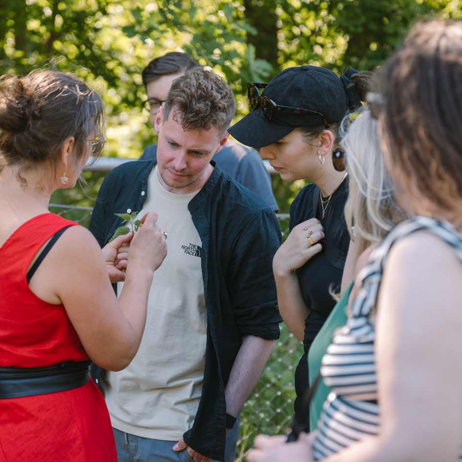 Wildkräuter Outdoor Teambuilding