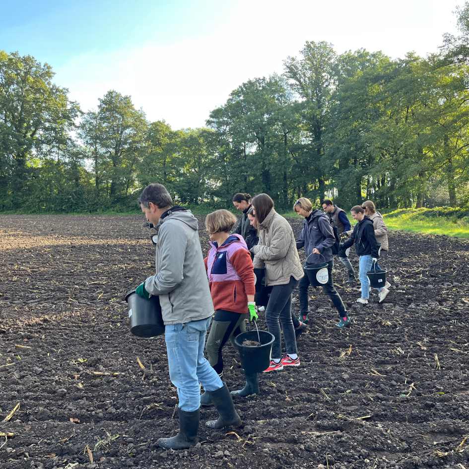 Outdoor Teamevent CSR: Blumenwiese anlegen