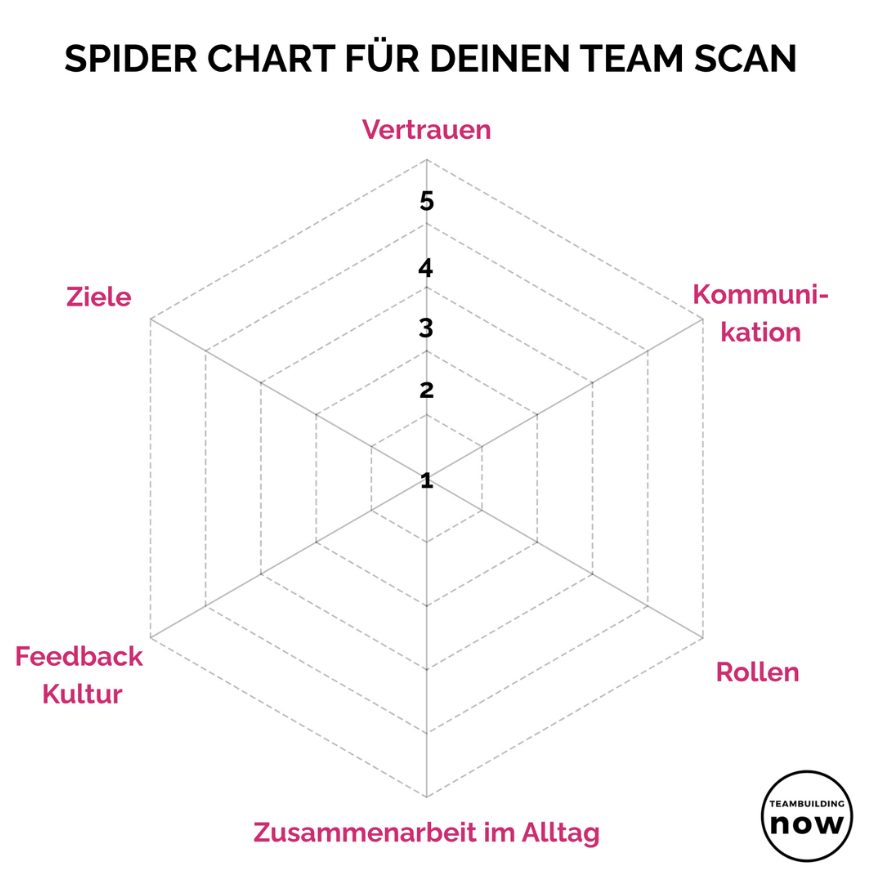 Alt Text: Spider Grafik für einen Team Scan für die Durchführung eines Teamworkshops