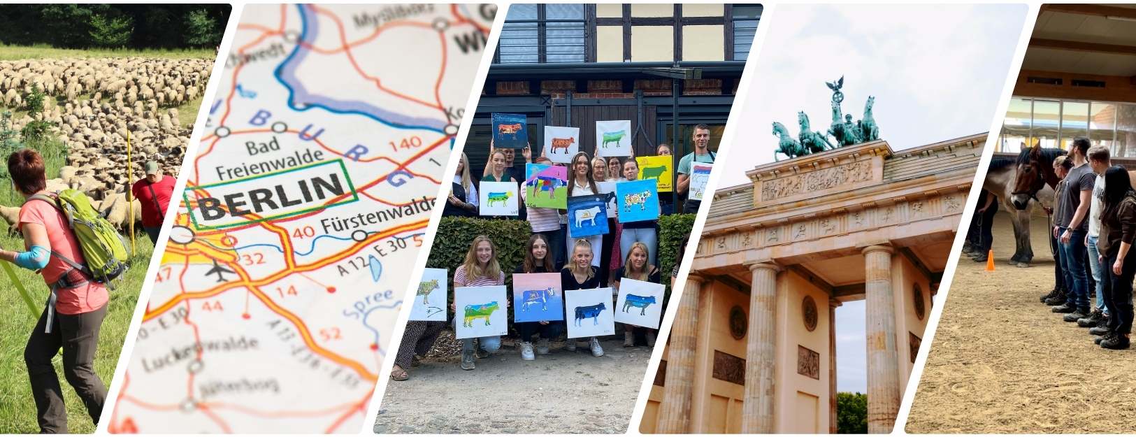 Teambuilding Berlin