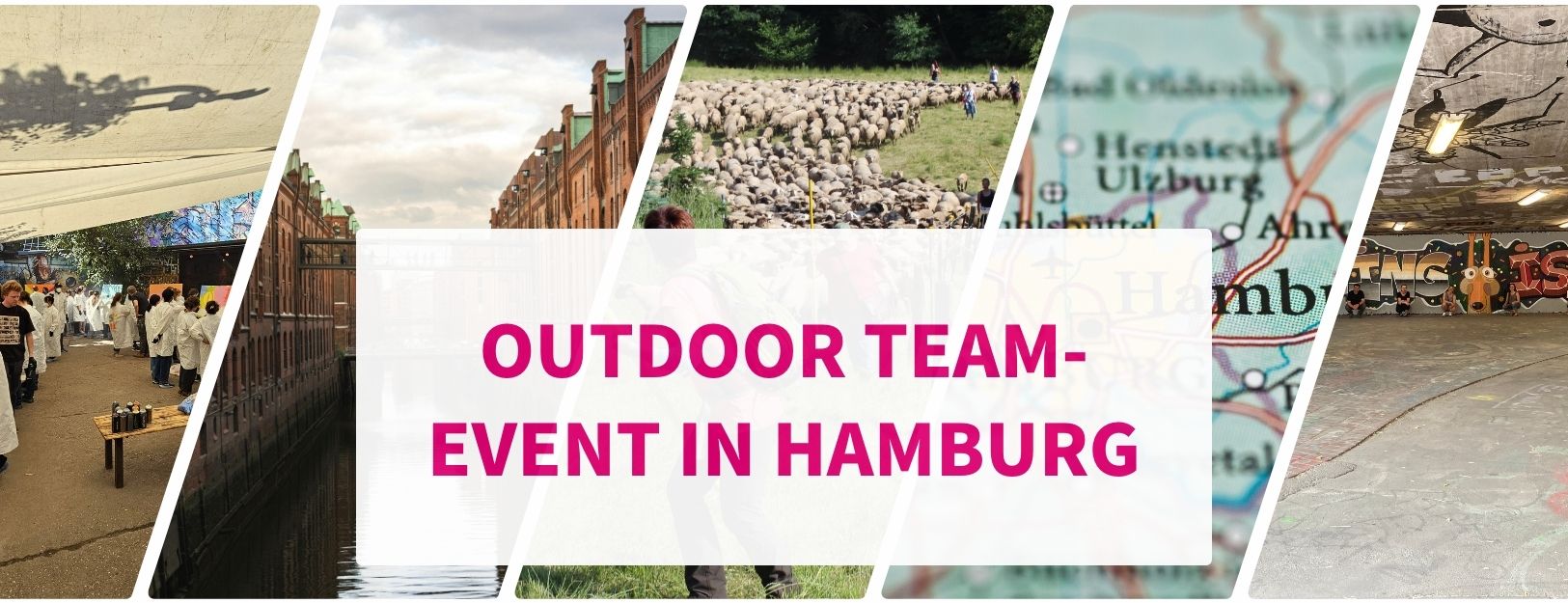 Outdoor Teambuilding in Hamburg: Entdecke +25 (nachhaltige) Events