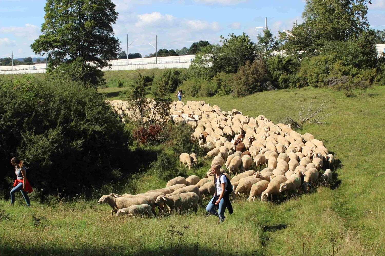 Teambuilding Ausflug